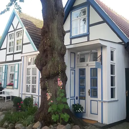 Haus Alexandrine Apartment