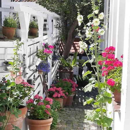 아파트 Haus Alexandrine *