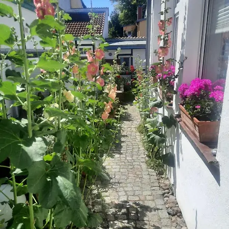 Haus Alexandrine شقة روستوك